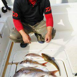 マリンガイド福丸 釣果