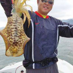 マリンガイド福丸 釣果