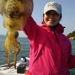 マリンガイド福丸 釣果