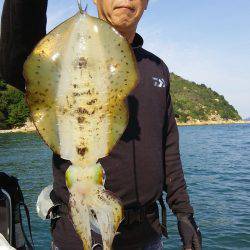 マリンガイド福丸 釣果