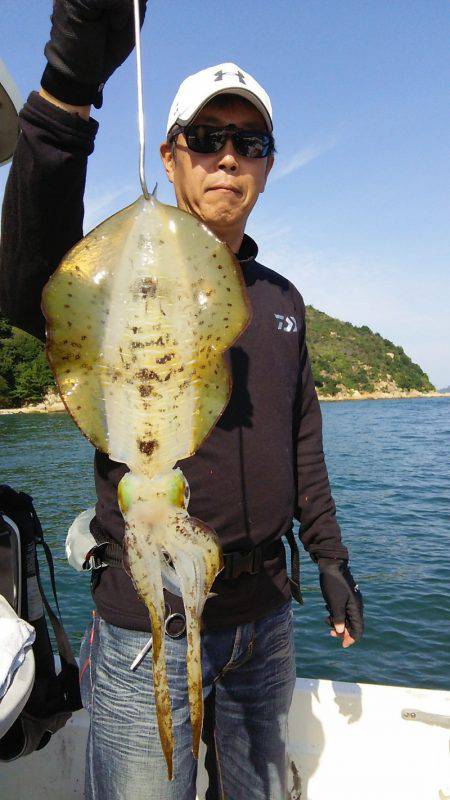 マリンガイド福丸 釣果