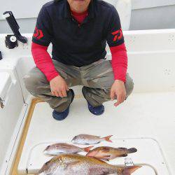 マリンガイド福丸 釣果