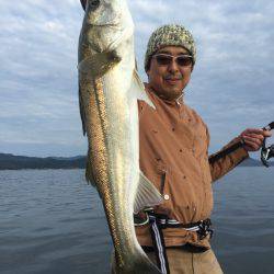 アマテラス 釣果