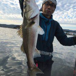 アマテラス 釣果