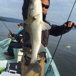 アマテラス 釣果