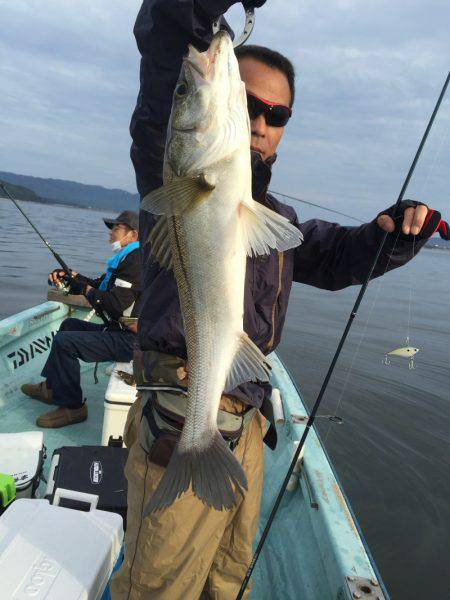 アマテラス 釣果