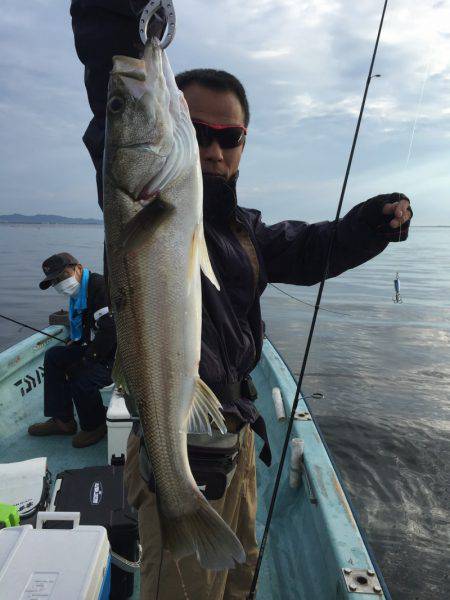 アマテラス 釣果