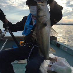 アマテラス 釣果