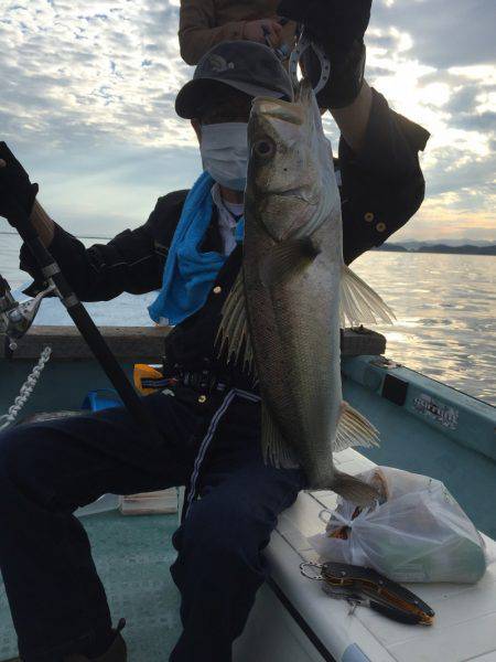 アマテラス 釣果