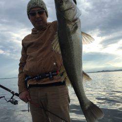 アマテラス 釣果