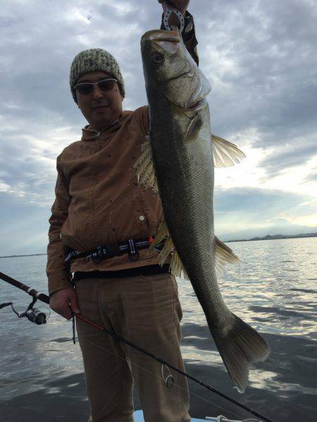 アマテラス 釣果