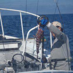 第二龍勢丸 釣果