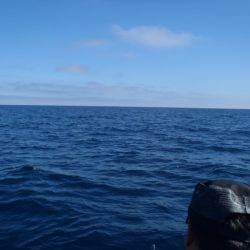 第二龍勢丸 釣果