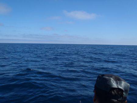 第二龍勢丸 釣果