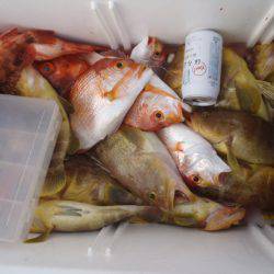 第二龍勢丸 釣果