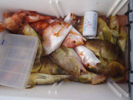 第二龍勢丸 釣果