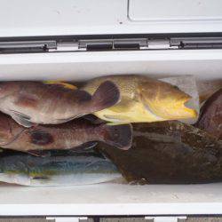 第二龍勢丸 釣果