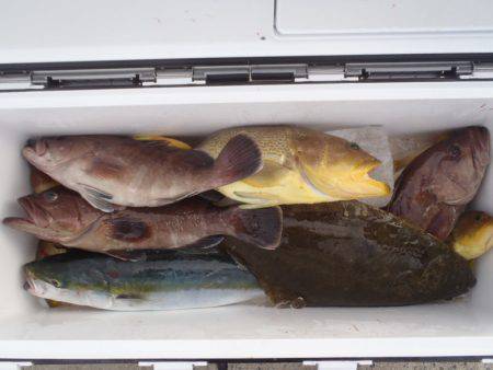 第二龍勢丸 釣果