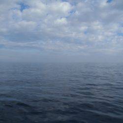 第二龍勢丸 釣果