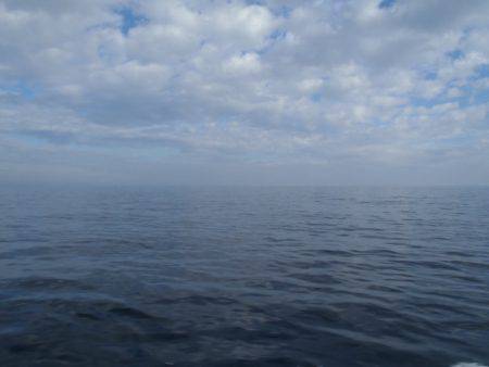 第二龍勢丸 釣果