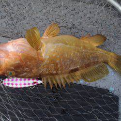 第二龍勢丸 釣果