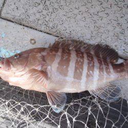 第二龍勢丸 釣果