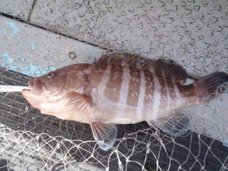 第二龍勢丸 釣果