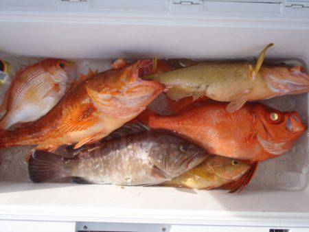 第二龍勢丸 釣果