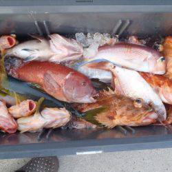 第二龍勢丸 釣果