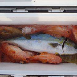 第二龍勢丸 釣果