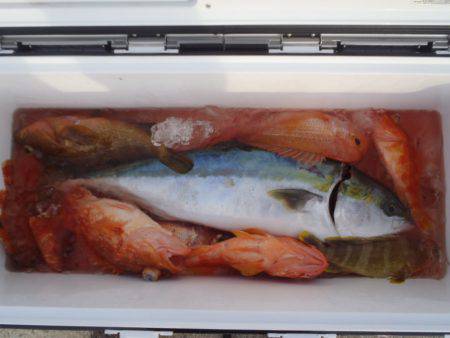 第二龍勢丸 釣果