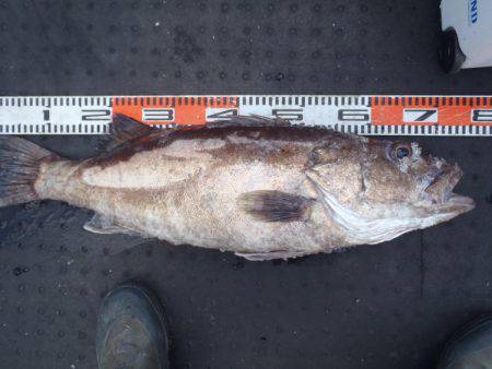 第二龍勢丸 釣果