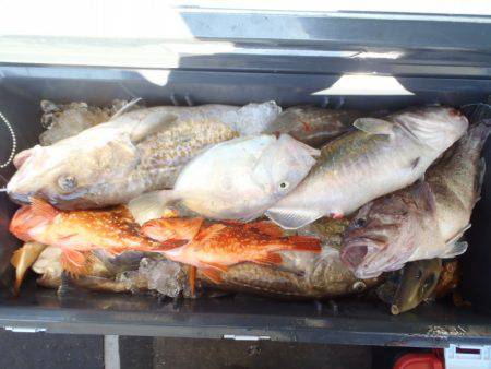 第二龍勢丸 釣果