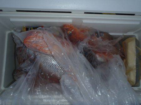 第二龍勢丸 釣果