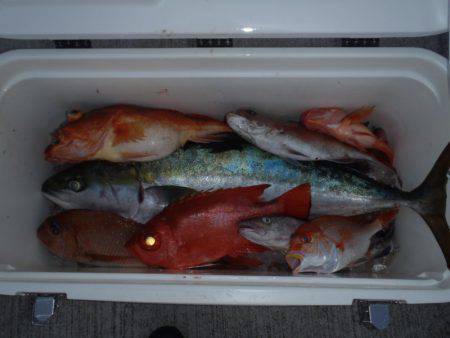 第二龍勢丸 釣果