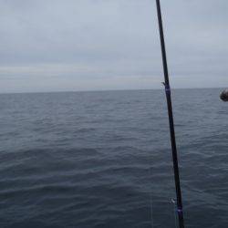 第二龍勢丸 釣果