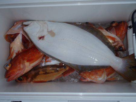 第二龍勢丸 釣果