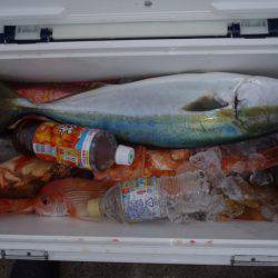 第二龍勢丸 釣果