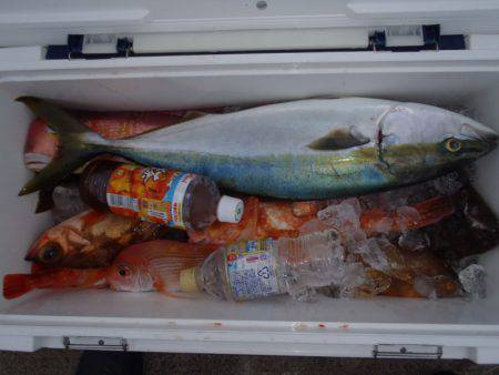 第二龍勢丸 釣果