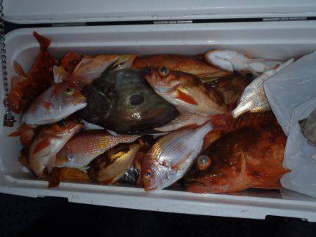 第二龍勢丸 釣果