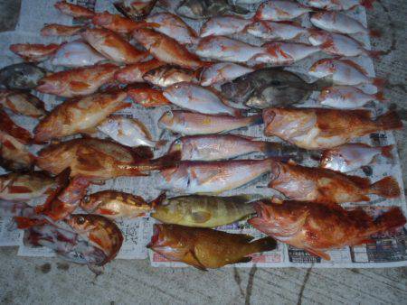 第二龍勢丸 釣果