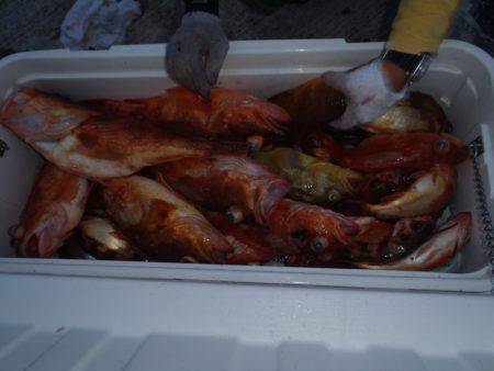 第二龍勢丸 釣果