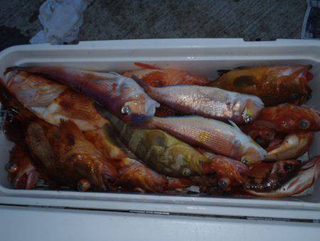 第二龍勢丸 釣果