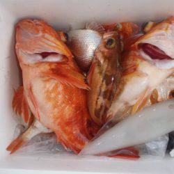 第二龍勢丸 釣果