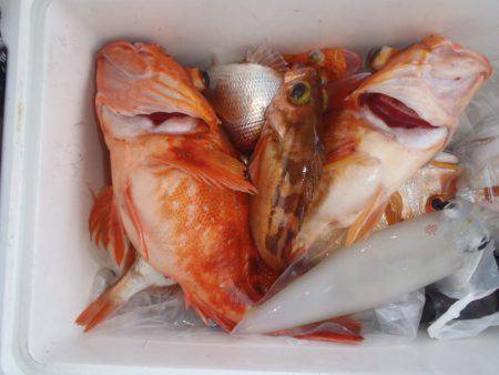 第二龍勢丸 釣果