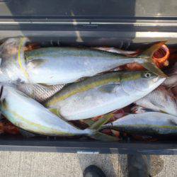 第二龍勢丸 釣果