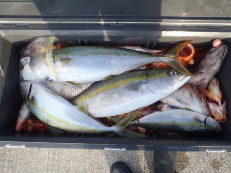 第二龍勢丸 釣果