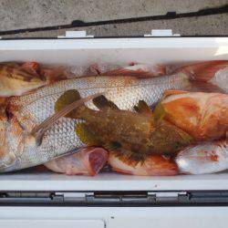 第二龍勢丸 釣果