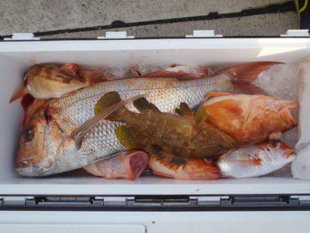 第二龍勢丸 釣果