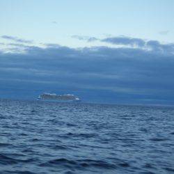 第二龍勢丸 釣果